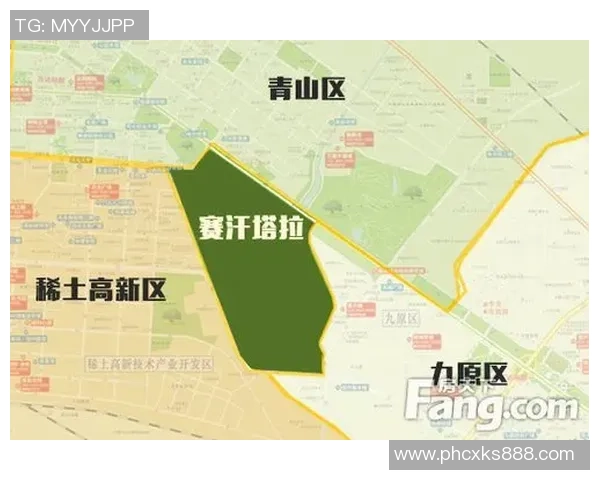 西安网球队在阵地战中的表现分析与未来发展方向探讨