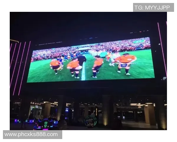 西安篮球队的节奏揭秘：从训练到比赛的全景探访与分析